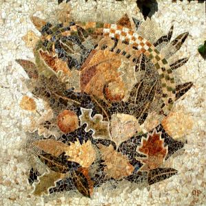 nature morte nature morte