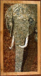 saveur de savane 1 saveur de savane 1